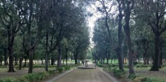 Forza Italia e Io Amo Frascati “Villa Torlonia, 37 alberi abbattuti nel silenzio dell’Amministrazione Sbardella”