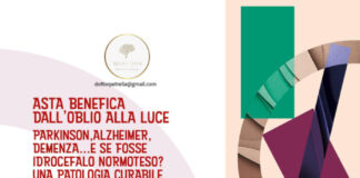Asta benefica per far luce sull’Idrocelafo Normoteso in sinergia tra arte e medicina