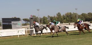 Per la prima volta a Roma la Coppa del Presidente degli Emirati Arabi Uniti 2025