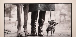 Elliott Erwitt e la grazia delle sue “icons”