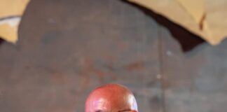 Ariccia, il 3 luglio “Fantastiche Visioni” al Parco Chigi: Greg, Anna Mazzamauro, Michele Placido, Enzo Decaro e Gene Gnocchi per un’estate da sogno