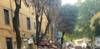 Prima edizione “Walk for the Cure” a Velletri, una passeggiata per la prevenzione