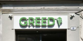 Greed, apre a Frascati una nuova gelateria naturale che unisce gusto, creatività e territorio