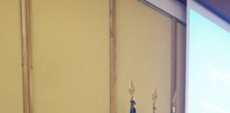 Rotondi (Fdi) – Luciani (Valle Martella Tricolore) “Zagarolo, Regione garantisce fondi TPL nessuna interruzione corse”