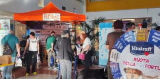 La tua testimonianza contro l’abbandono al Pet Camper Tour per una grande campagna contro l’indifferenza