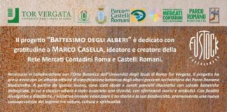 Solstizio a Parco Romano, la Festa degli Alberi