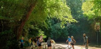 “Passi, soste, altri passi… prodotti tipici, cultura e tradizioni del territorio dei Parchi regionali”: concluso con successo il progetto della Fondazione De Cultura in giro per il Lazio