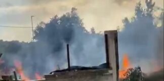 Legati a Monte Compatri “Via Monte Cavo: un incendio annunciato. Il degrado non può più essere ignorato”