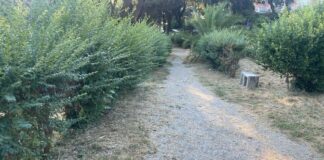 Silvestroni (FdI) “Il Pd sta facendo sprofondare Albano nel degrado”