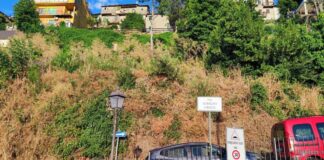 Legati a Monte Compatri: “Vegetazione abbandonata e rischio incendi: l’amministrazione continua a ignorare il territorio”