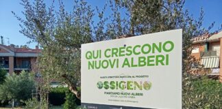 Legati a Monte Compatri “Valorizzazione o dovere? La verità sulla gestione del verde a Monte Compatri”