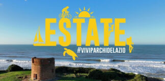 Bosco d’Arte – Crea, Ascolta e Scopri