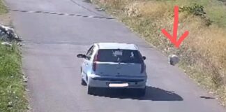 Lanuvio, Polizia Locale e Operatori Ecologici in azione contro il degrado ambientale