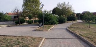 Ambiente a Ciampino, gli interventi di manutenzione del verde cittadino