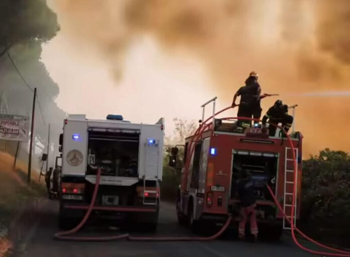 incendiopagliarozza incendiopagliarozza