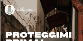 Grottaferrata al via la campagna di sterilizzazione dei gatti randagi sul territorio comunale