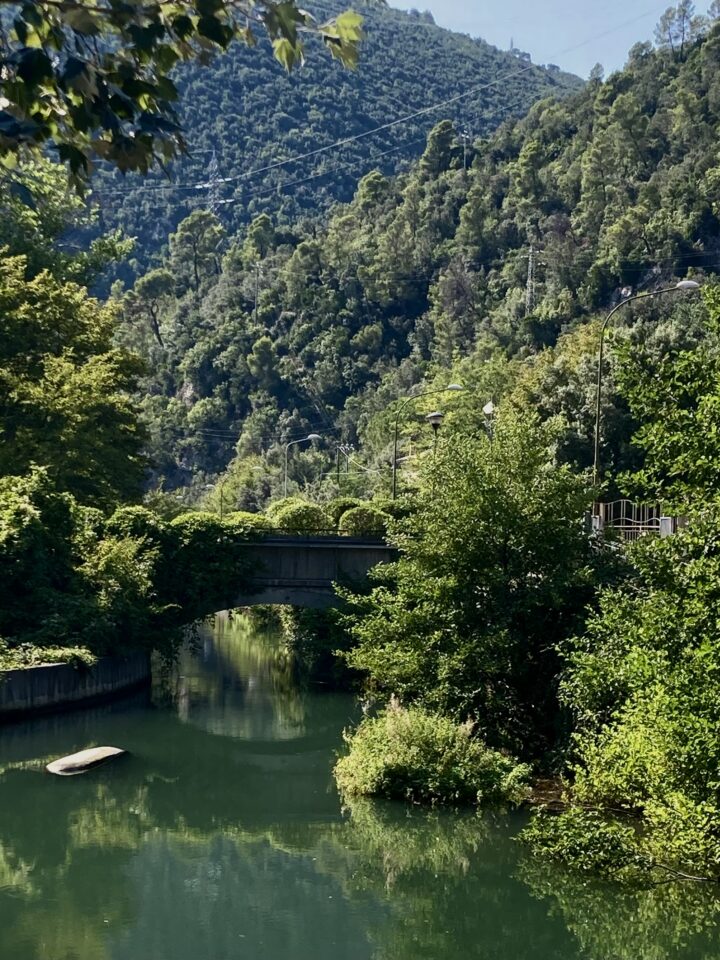 Vegetazione che circonda le Cascate