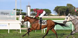 Prima domenica di corse all’Ippodromo Capannelle. Torna Mr Darcy, il pupillo di Max Allegri, nel Premio Campidoglio