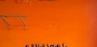 Volley, Parte il Progetto Safeguarding 2025 per il Volley di Albano