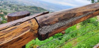 Legati a Monte Compatri, “Soldi pubblici… quando sono i contribuenti a pagare”