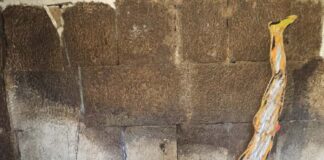 Inaugurata a Lanuvio la mostra “Connessioni culturali”: il pittore campano Fernando Mangone tra arte contemporanea e storia dei Castelli Romani