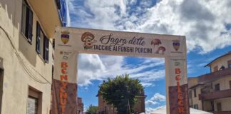 A Bellegra torna la XVII Sagra delle Tacchie ai Funghi Porcini: sapori d’autunno tra tradizione, gusto e natura