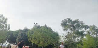 Lanuvio, successo per la Festa dell’Uva e del Vino