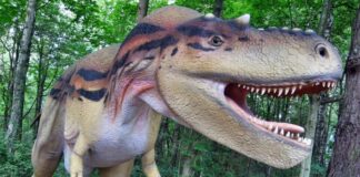 Dinosauri a Genzano di Roma, apre il parco preistorico “World of Dinosaurs”