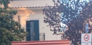 Grottaferrata, in arrivo nei parchi e nelle aree pubbliche 5 bacheche in legno per il book crossing