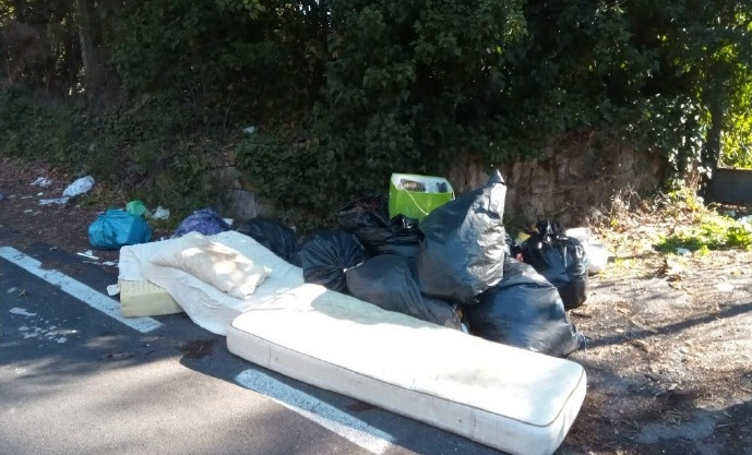 Fototrappole Grottaferrata