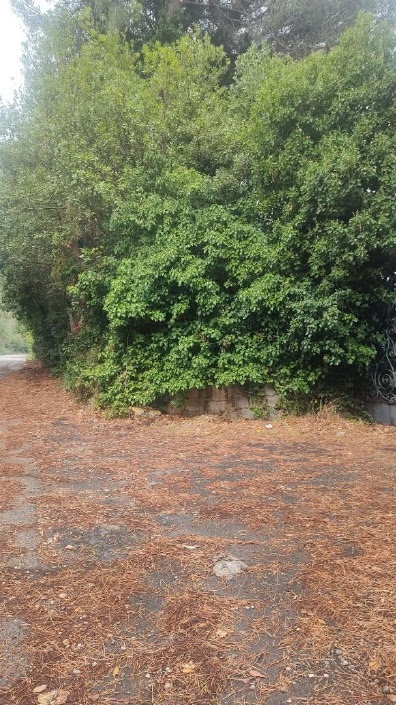 Fototrappole Grottaferrata