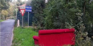 Fototrappole, il primo bilancio Fototrappole Albano Laziale