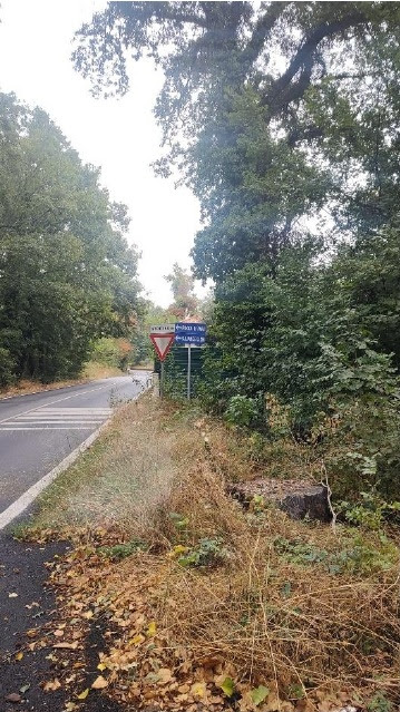 Fototrappole Albano Laziale