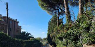 Grottaferrata, completato il rifacimento dell’asfalto su via Sant’Andrea: da novembre nuovi interventi a Borghetto