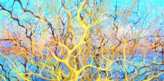 Roma apre le porte al sentiero dell’Oltre di Maristella Angeli