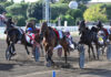 All’Ippodromo Capannelle il grande spettacolo del trotto