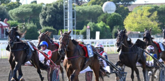 All’Ippodromo Capannelle il grande spettacolo del trotto