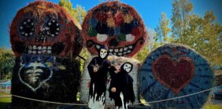 Non solo una festa da paura, Halloween ha il valore dell’unicità a Zoomarine con il Festival “Fantastica…Mente” e la Maratona Mario Kart World gratuita