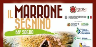 Il Marrone Segnino: 68 anni di radici, visione e orgoglio territoriale