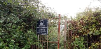 Legati a Monte Compatri “Le sorgenti di Carpinello: un patrimonio dimenticato”