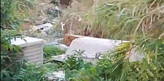 Legati a Monte Compatri “La vergogna delle discariche a cielo aperto: ancora nessun intervento”