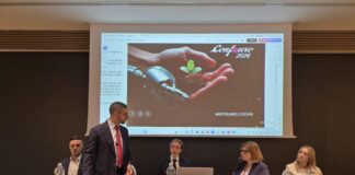 Sociale, Tiso(Confeuro-Accademia IC): “In Labor formazione costante. Patronato di utilità sociale”