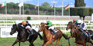 Domenica 2 novembre è il Roma Champions Day All’Ippodromo Capannelle il grande spettacolo del turf italiano