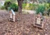 Giornata dell’Infanzia e dell’Adolescenza: installati nelle scuole del territorio di Grottaferrata i Bee Hotel per la tutela degli insetti impollinatori