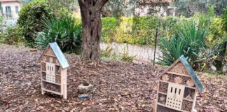 Giornata dell’Infanzia e dell’Adolescenza: installati nelle scuole del territorio di Grottaferrata i Bee Hotel per la tutela degli insetti impollinatori