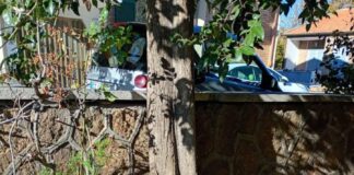 Pro Italia Castelli Romani “Segnalate criticità in via Opita Oppio – inviata PEC al Comune di Frascati”