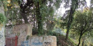 Istituto Comprensivo Frascati – Plesso di Villa Sciarra “Allarme sicurezza: consegnate formalmente le 568 firme per chiedere interventi urgenti contro la presenza dei cinghiali”