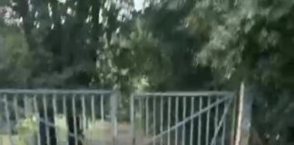 Forza Italia – Io Amo Frascati, “Villa Sciarra ancora aperta nonostante l’ordinanza. Si intervenga subito sulla sicurezza”