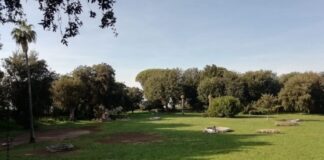 Amministazione Sbardella, “Gestione della presenza dei Cinghiali sul territorio di Frascati”