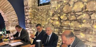 Patto federativo tra Noi Moderati e Fdi Nettuno